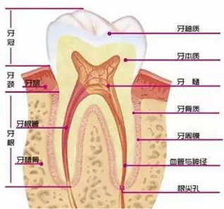 QQ截图20161008150023.png