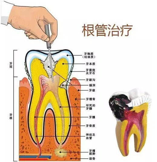 QQ截图20170728152045.png